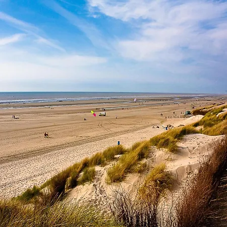 In Croatia Near Adriatic Coast *