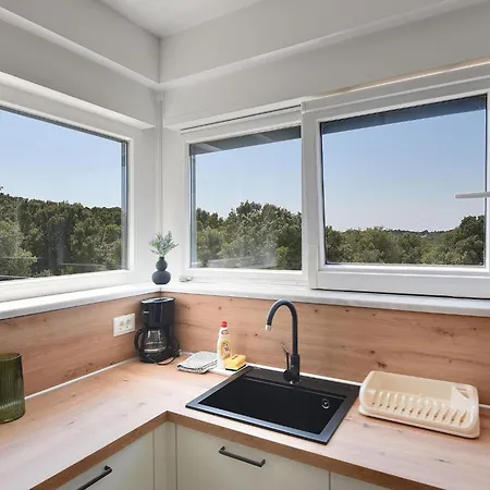 In Croatia Near Adriatic Coast Pula