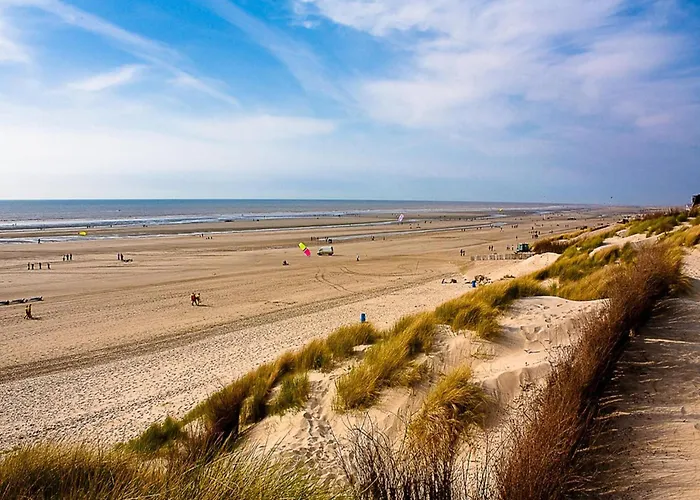 In Croatia Near Adriatic Coast *